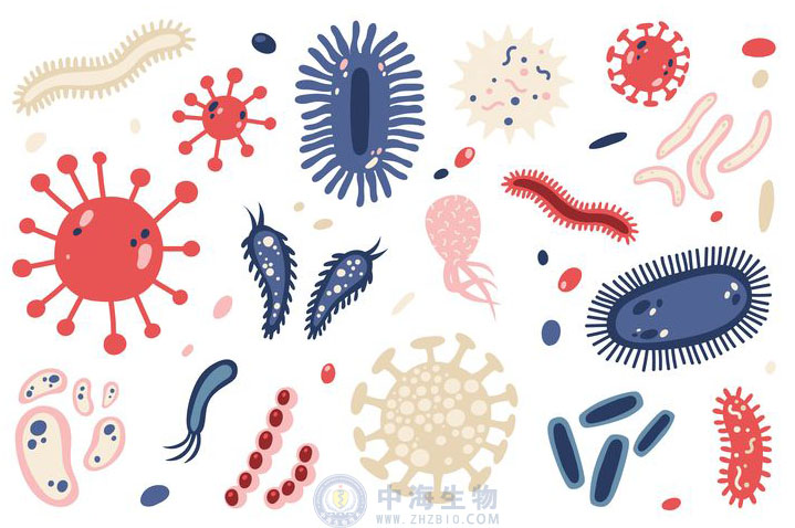 微生物是什么？哪些營養(yǎng)物質(zhì)促進(jìn)微生物生長繁殖？